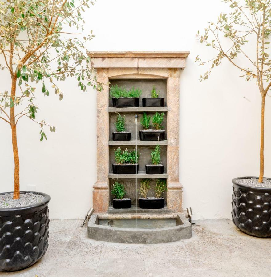 מלון סאן מיגל דה אלנדה Casa Delphine מראה חיצוני תמונה